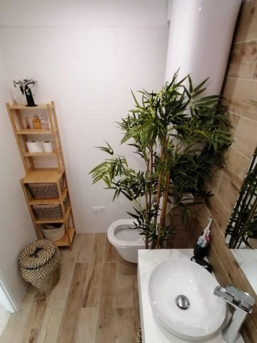 Appartement Superbe Studio Ethnique à Hyères Extérieur photo